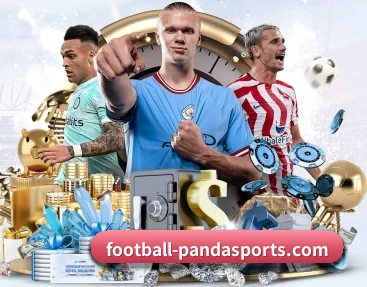 Panda Sports的故事