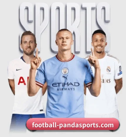 Panda Sports的方向 - 长期内容价值积累