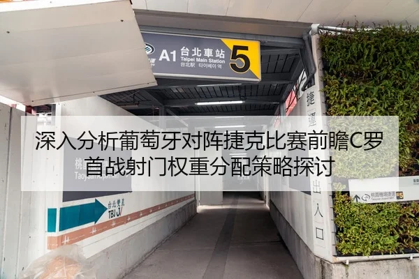深入分析葡萄牙对阵捷克比赛前瞻C罗首战射门权重分配策略探讨
