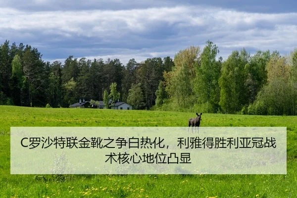 C罗沙特联金靴之争白热化，利雅得胜利亚冠战术核心地位凸显